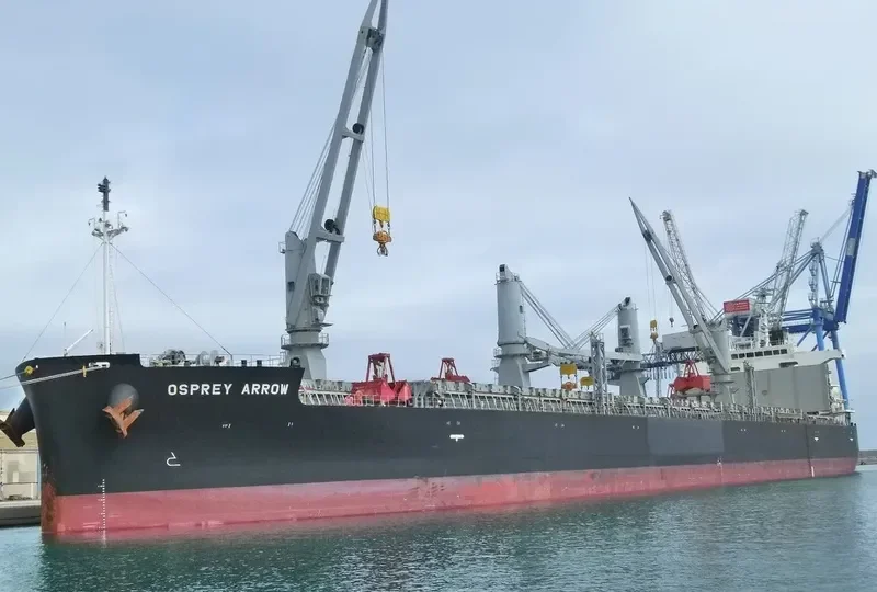 OSPREY ARROW Bulk Carrier IMO 9687174 photo 4
