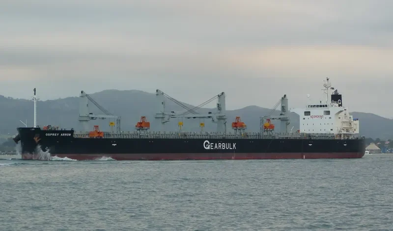 OSPREY ARROW Bulk Carrier IMO 9687174 photo 7