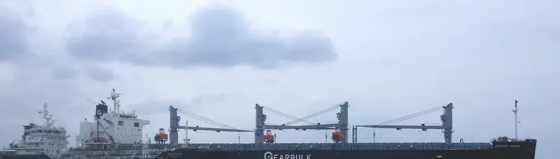 OSPREY ARROW Bulk Carrier IMO 9687174 photo 8