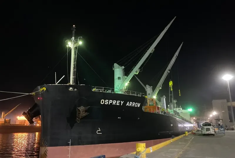 OSPREY ARROW Bulk Carrier IMO 9687174 photo 9