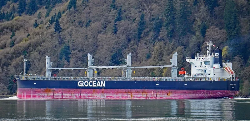 OSPREY ARROW Bulk Carrier IMO 9687174 photo 10