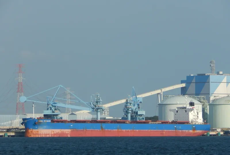 NORD PENGUIN Bulk Carrier IMO 9687186