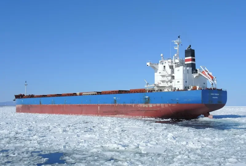 NORD PENGUIN Bulk Carrier IMO 9687186 photo 2