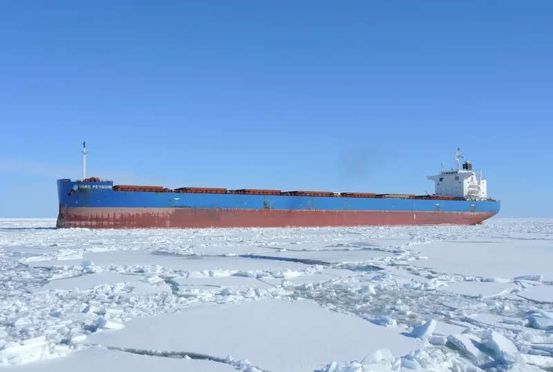 NORD PENGUIN Bulk Carrier IMO 9687186 photo 3