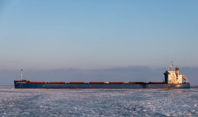 NORD PENGUIN Bulk Carrier IMO 9687186 photo 4