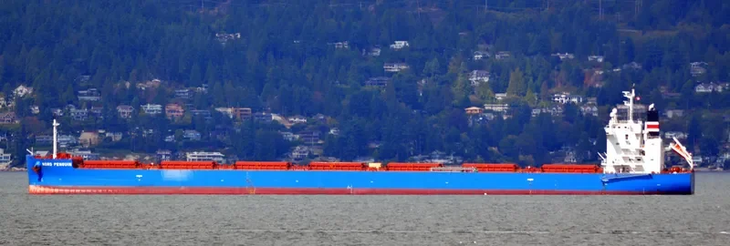 NORD PENGUIN Bulk Carrier IMO 9687186 photo 6
