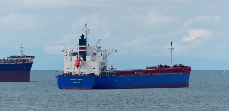 NORD PENGUIN Bulk Carrier IMO 9687186 photo 8