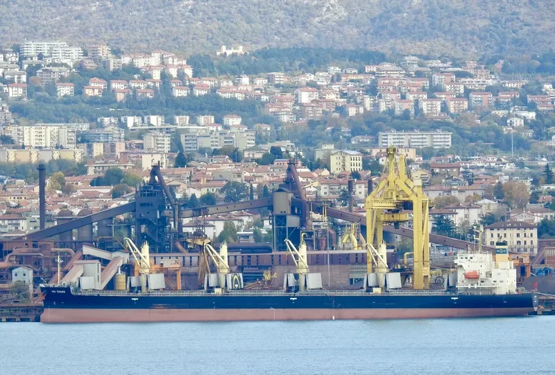 HAI CHANG Bulk Carrier IMO 9687198