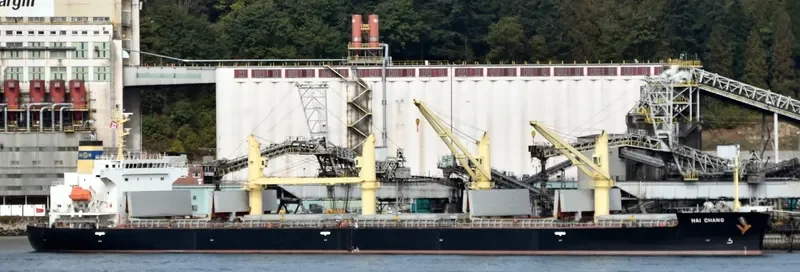 HAI CHANG Bulk Carrier IMO 9687198 photo 4