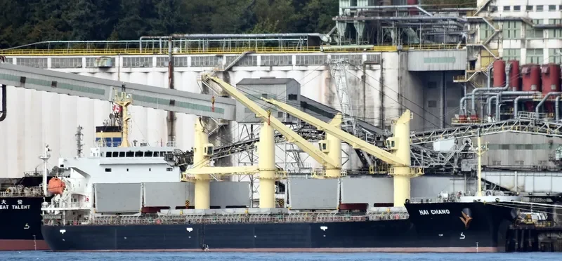 HAI CHANG Bulk Carrier IMO 9687198 photo 5