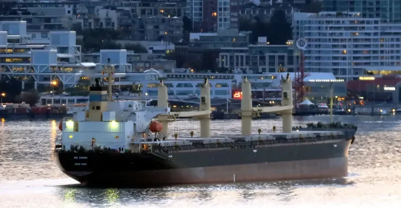 HAI CHANG Bulk Carrier IMO 9687198 photo 8