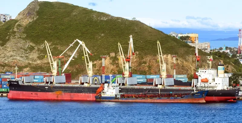 HAI CHANG Bulk Carrier IMO 9687198 photo 10