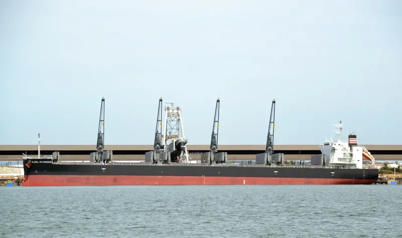 GLOBAL SPLENDOUR Bulk Carrier IMO 9687203