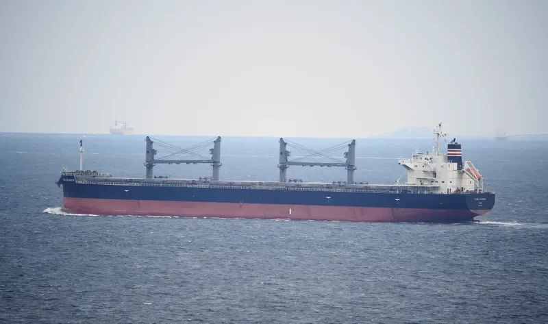 GLOBAL SPLENDOUR Bulk Carrier IMO 9687203 photo 3