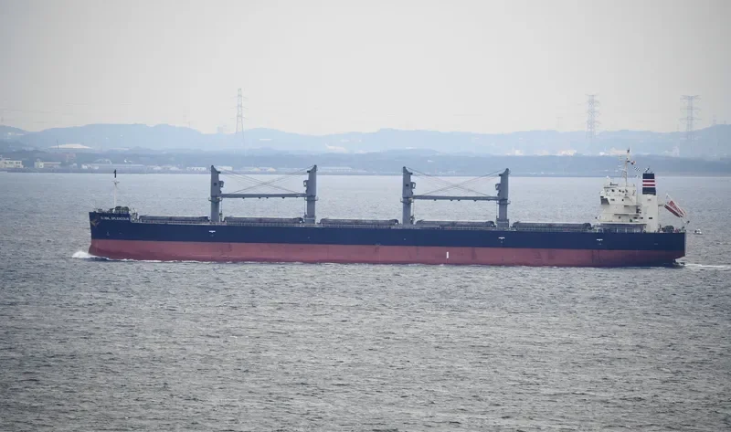 GLOBAL SPLENDOUR Bulk Carrier IMO 9687203 photo 4