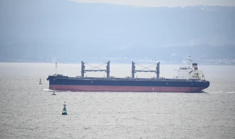 GLOBAL SPLENDOUR Bulk Carrier IMO 9687203 photo 5
