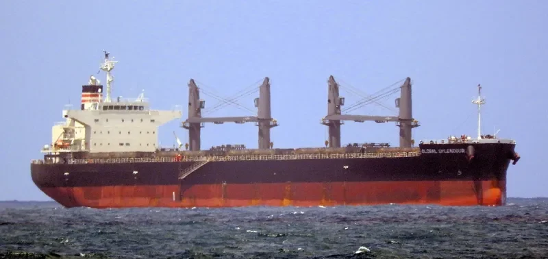 GLOBAL SPLENDOUR Bulk Carrier IMO 9687203 photo 6