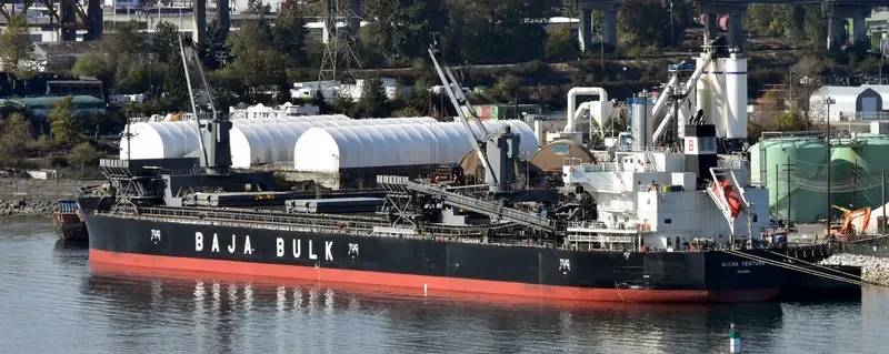BUENA VENTURA Bulk Carrier IMO 9687215