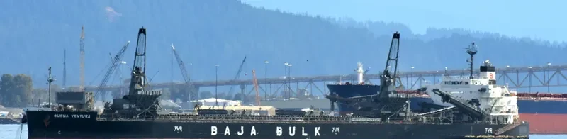 BUENA VENTURA Bulk Carrier IMO 9687215 photo 2