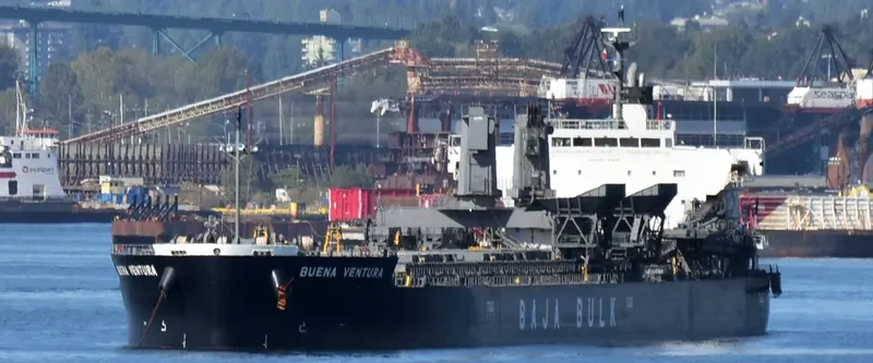 BUENA VENTURA Bulk Carrier IMO 9687215 photo 3