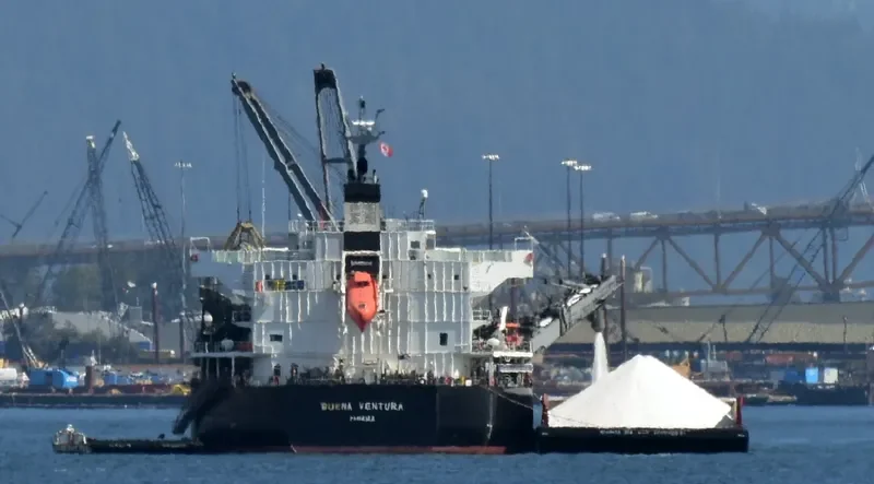 BUENA VENTURA Bulk Carrier IMO 9687215 photo 4