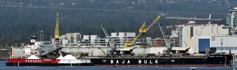 BUENA VENTURA Bulk Carrier IMO 9687215 photo 5