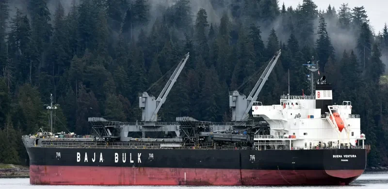 BUENA VENTURA Bulk Carrier IMO 9687215 photo 7