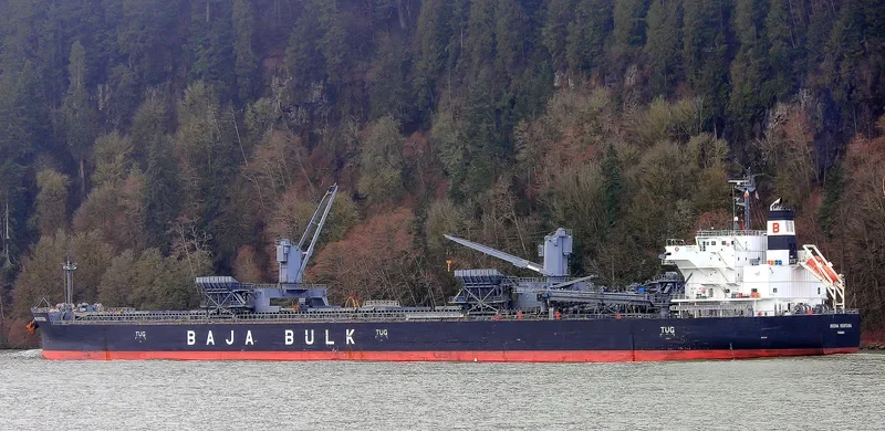 BUENA VENTURA Bulk Carrier IMO 9687215 photo 8
