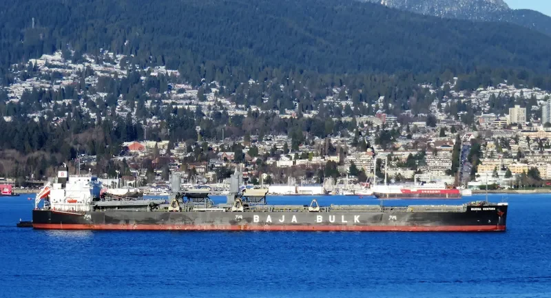 BUENA VENTURA Bulk Carrier IMO 9687215 photo 9