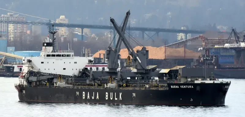 BUENA VENTURA Bulk Carrier IMO 9687215 photo 10