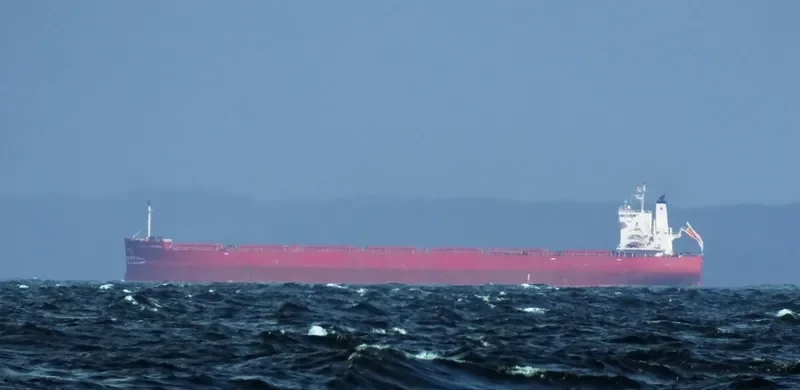 NORDIC OSHIMA Bulk Carrier IMO 9687227