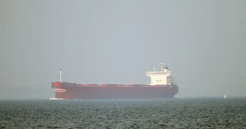 NORDIC OSHIMA Bulk Carrier IMO 9687227 photo 2