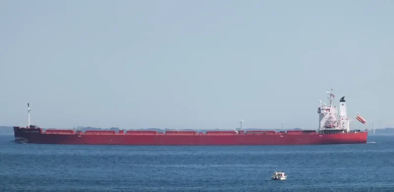 NORDIC OSHIMA Bulk Carrier IMO 9687227 photo 3