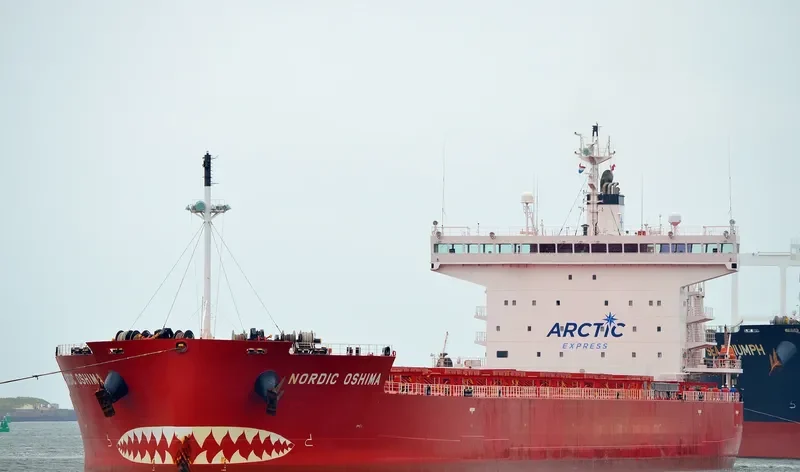 NORDIC OSHIMA Bulk Carrier IMO 9687227 photo 7
