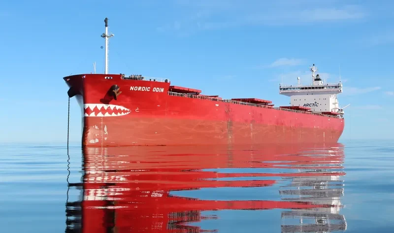 NORDIC ODIN Bulk Carrier IMO 9687239