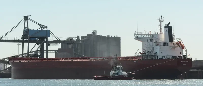NORDIC ODIN Bulk Carrier IMO 9687239 photo 2