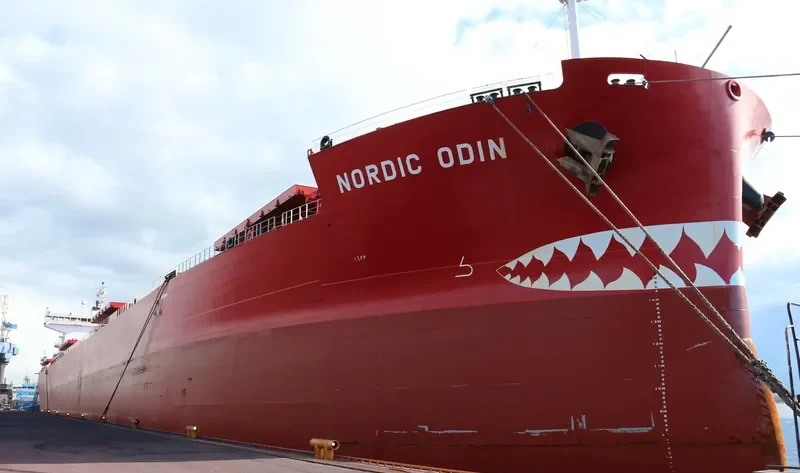 NORDIC ODIN Bulk Carrier IMO 9687239 photo 3