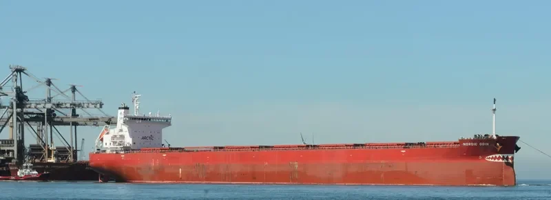 NORDIC ODIN Bulk Carrier IMO 9687239 photo 6