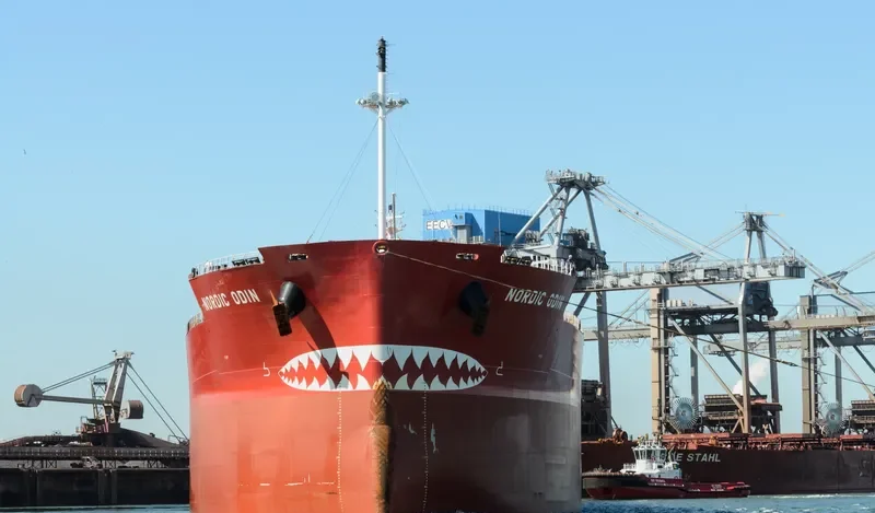 NORDIC ODIN Bulk Carrier IMO 9687239 photo 8