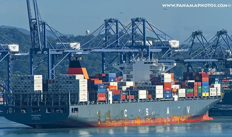 CAUQUENES Container Ship IMO 9687552