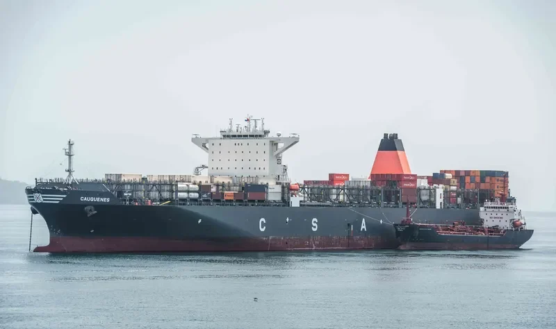 CAUQUENES Container Ship IMO 9687552 photo 3