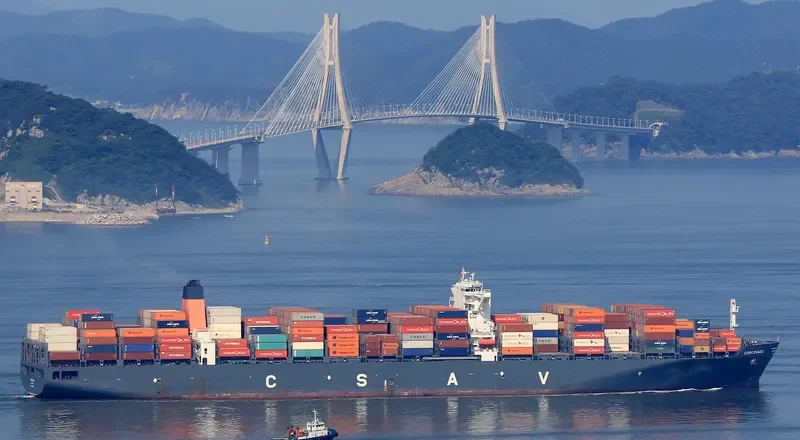 CORCOVADO Container Ship IMO 9687564 photo 2