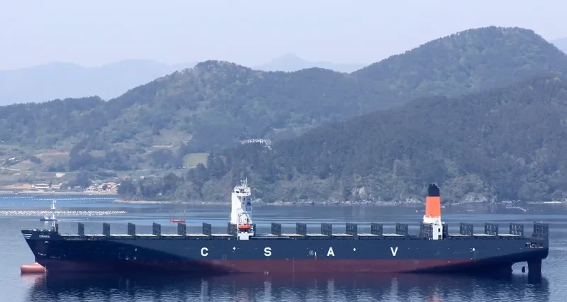 CISNES Container Ship IMO 9687576 photo 6