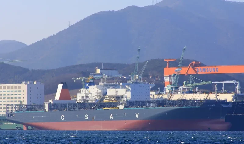 CISNES Container Ship IMO 9687576 photo 9