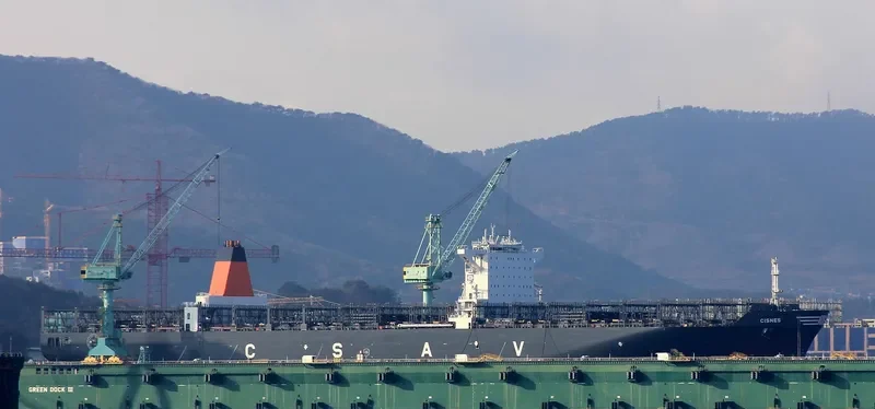 CISNES Container Ship IMO 9687576 photo 10