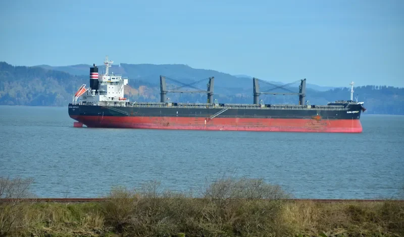 GLOBAL HOSPITALITY Bulk Carrier IMO 9687655 photo 2