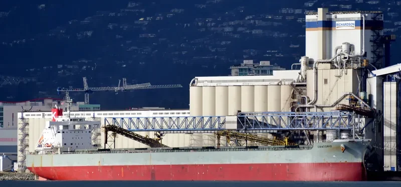 ORATORIO Bulk Carrier IMO 9687679