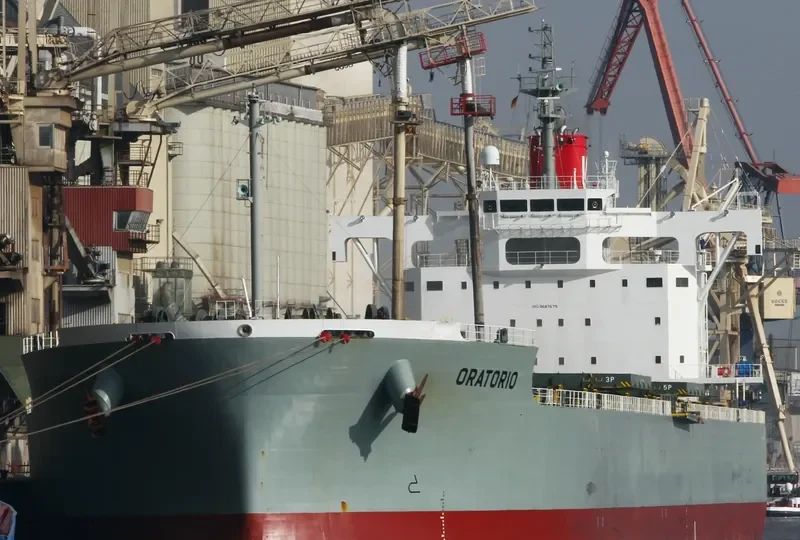 ORATORIO Bulk Carrier IMO 9687679 photo 2