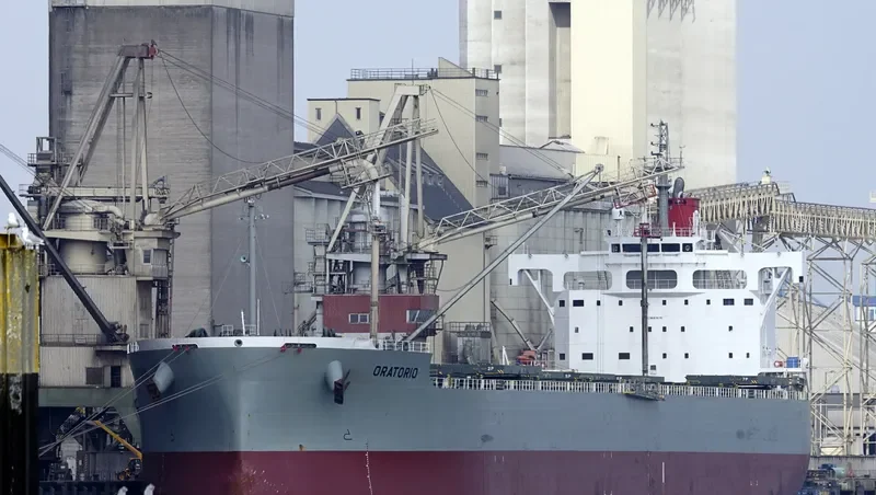 ORATORIO Bulk Carrier IMO 9687679 photo 3