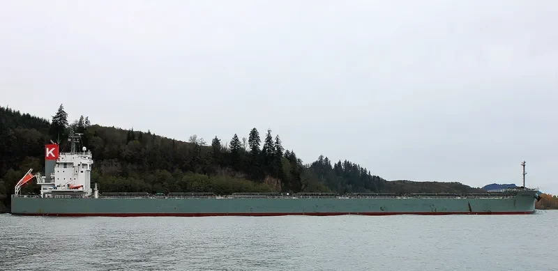 ORATORIO Bulk Carrier IMO 9687679 photo 4